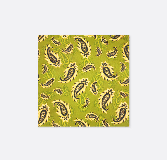 Paisley Passion Silk Pocket Square