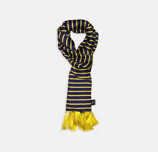 Blue and Gold Stripes - Silk Scarf