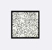 Modern Floral - Silk Pocket Square by Monzoro