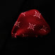Twinkle Maroon Silk Pocket Square by Monzoro – view 5