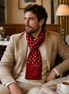 Maroon Dot Polka - Silk Men Scarf by Monzoro – view 14