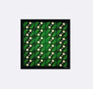 Floret - Silk Pocket Square by Monzoro